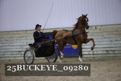 25BUCKEYE_09280 proof