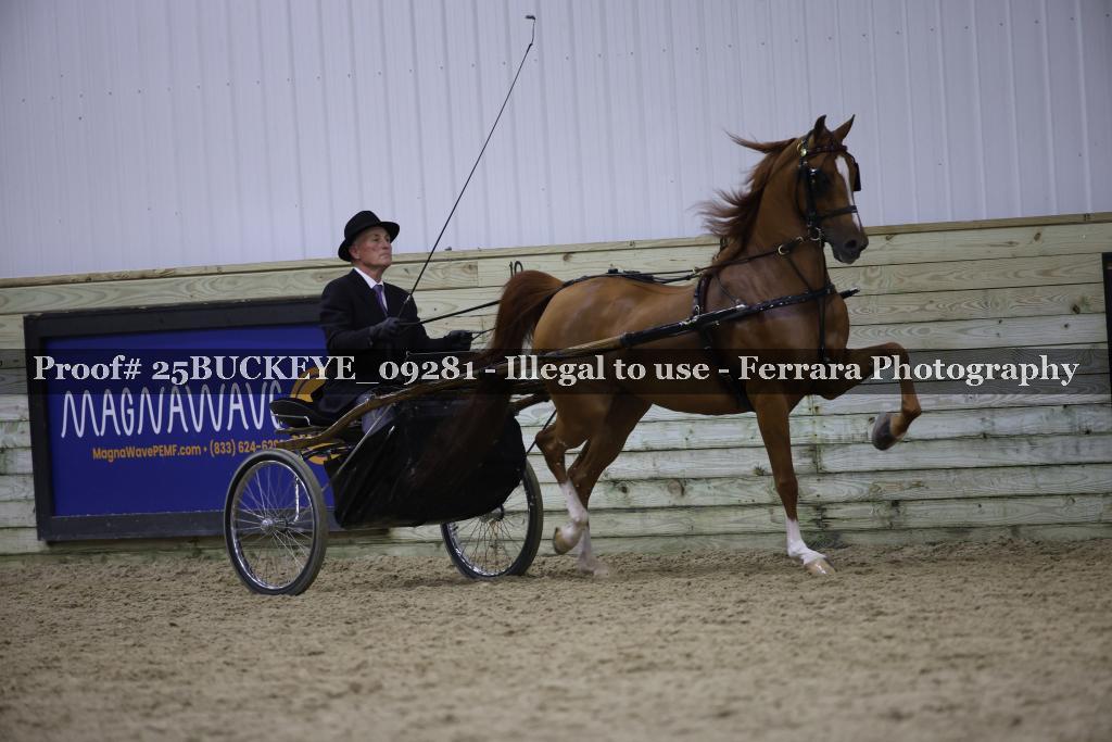 Proof 25BUCKEYE_09281