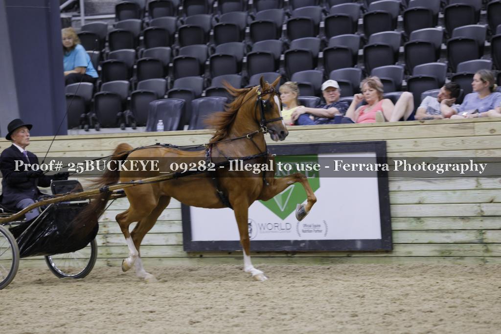 Proof 25BUCKEYE_09282