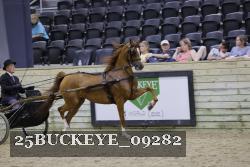 25BUCKEYE_09282 proof