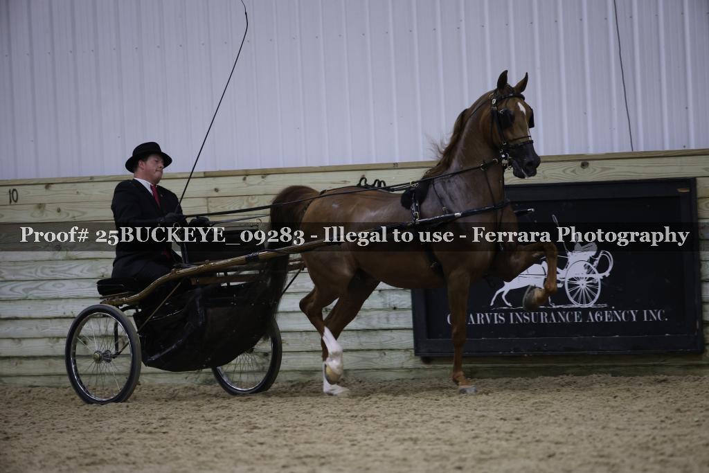 Proof 25BUCKEYE_09283