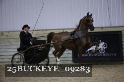 25BUCKEYE_09283 proof