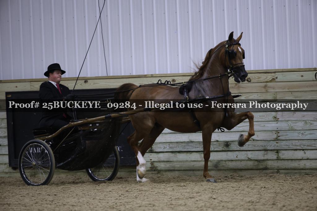 Proof 25BUCKEYE_09284