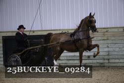 25BUCKEYE_09284 proof