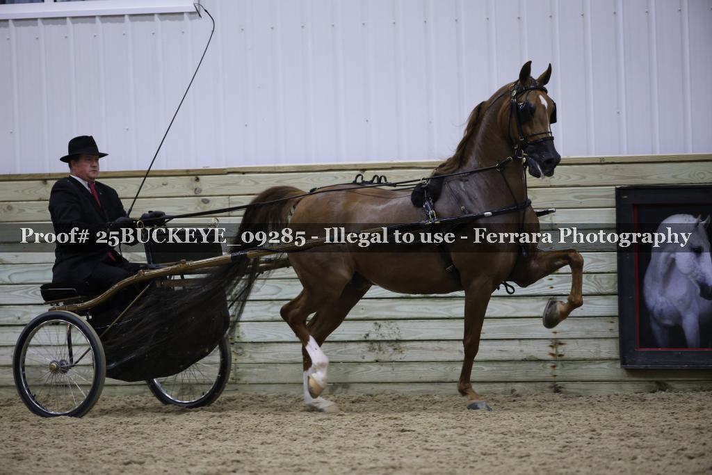 Proof 25BUCKEYE_09285