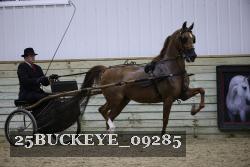 25BUCKEYE_09285 proof