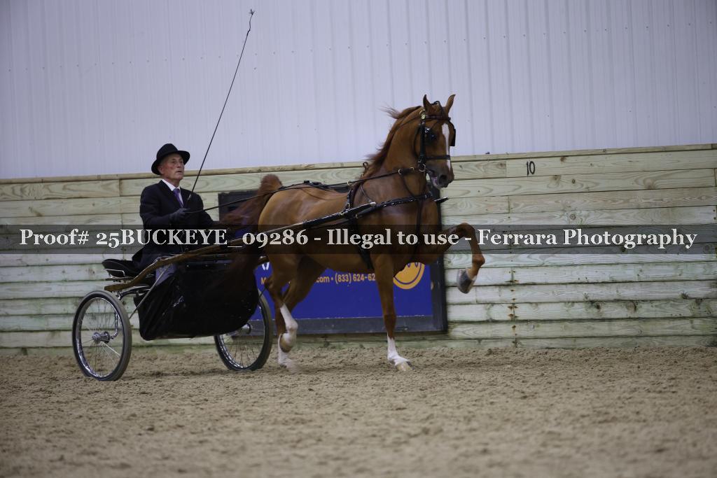 Proof 25BUCKEYE_09286