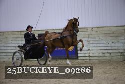 25BUCKEYE_09286 proof