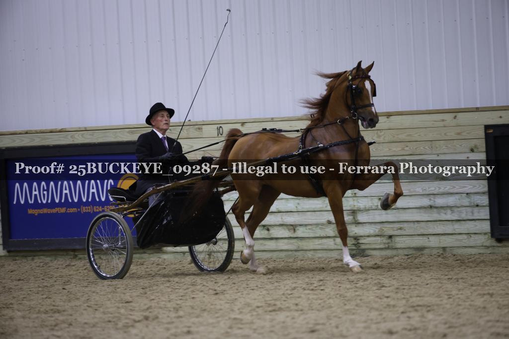 Proof 25BUCKEYE_09287