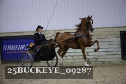 25BUCKEYE_09287 proof