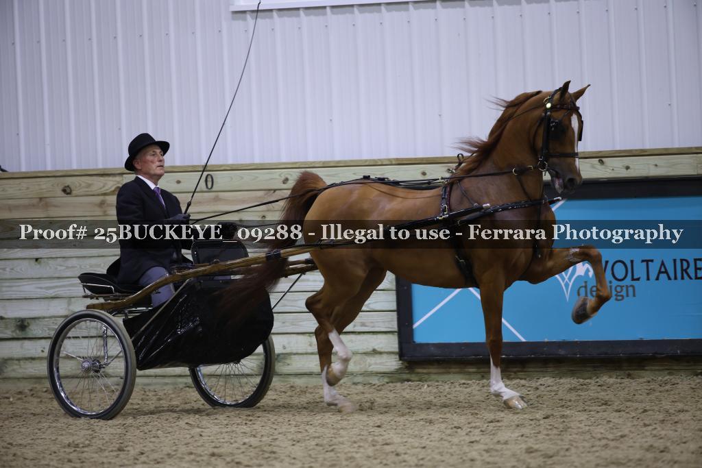 Proof 25BUCKEYE_09288