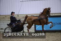 25BUCKEYE_09288 proof