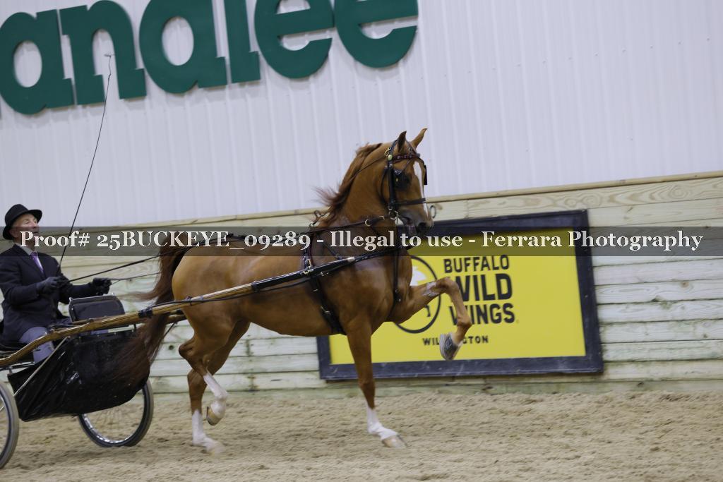 Proof 25BUCKEYE_09289