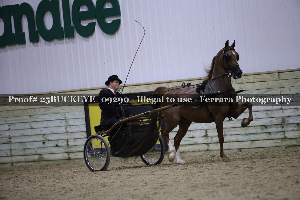 Proof 25BUCKEYE_09290