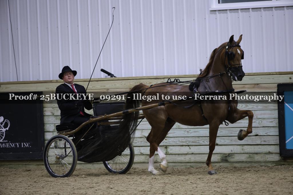 Proof 25BUCKEYE_09291