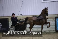 25BUCKEYE_09291 proof