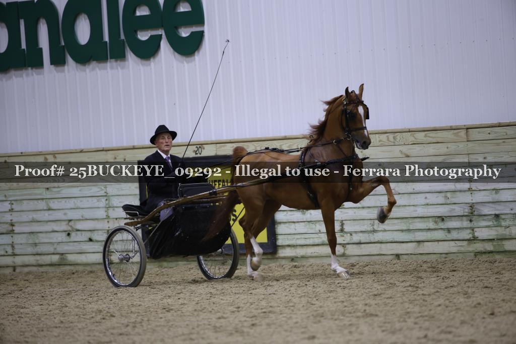 Proof 25BUCKEYE_09292