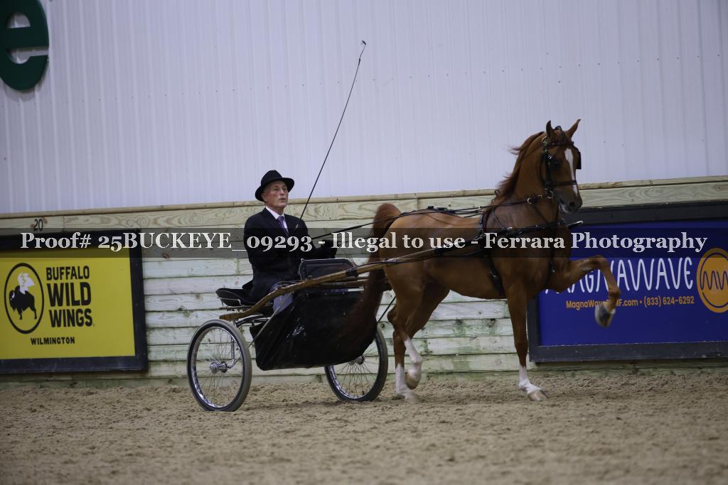 Proof 25BUCKEYE_09293