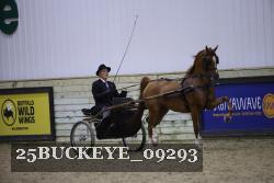 25BUCKEYE_09293 proof