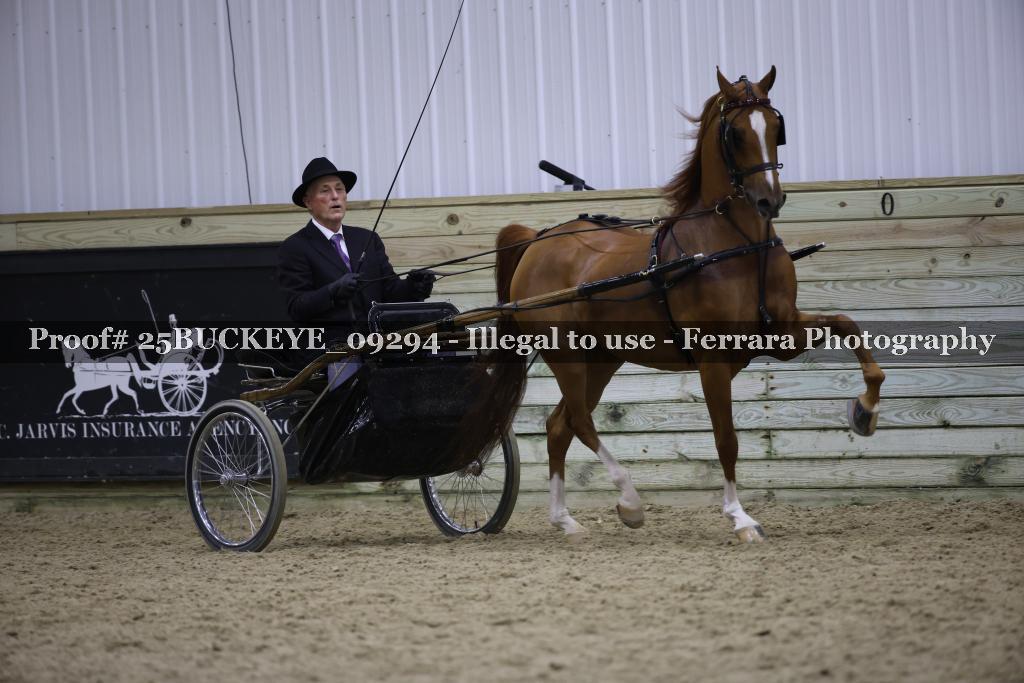 Proof 25BUCKEYE_09294