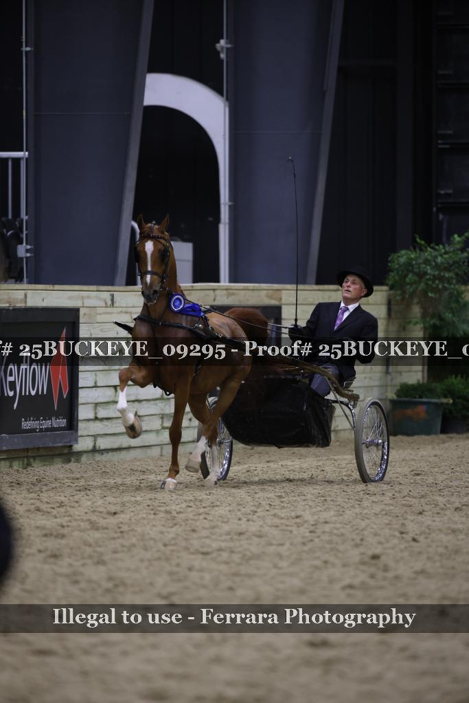 Proof 25BUCKEYE_09295