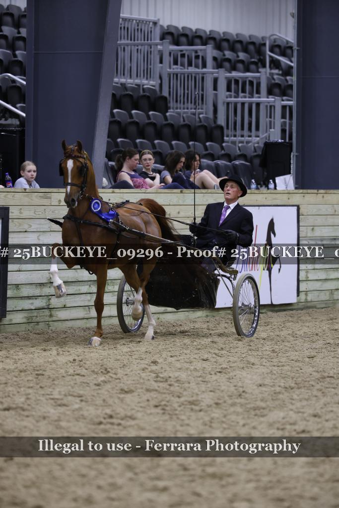 Proof 25BUCKEYE_09296