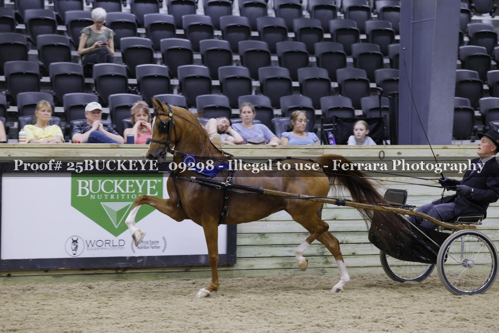 Proof 25BUCKEYE_09298