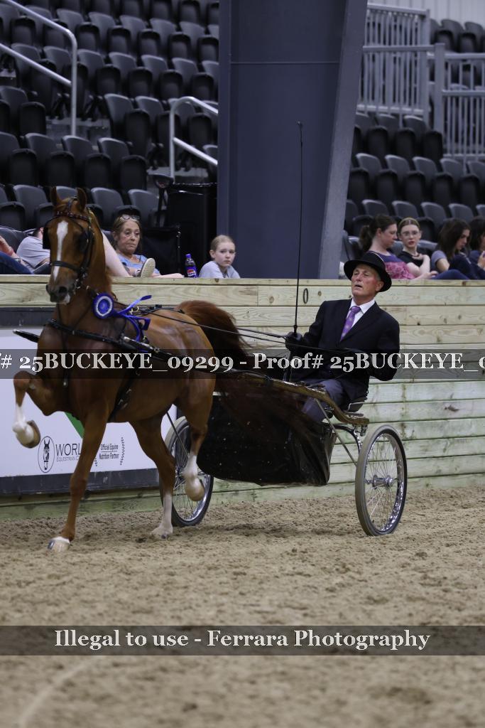 Proof 25BUCKEYE_09299