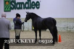25BUCKEYE_09316 proof