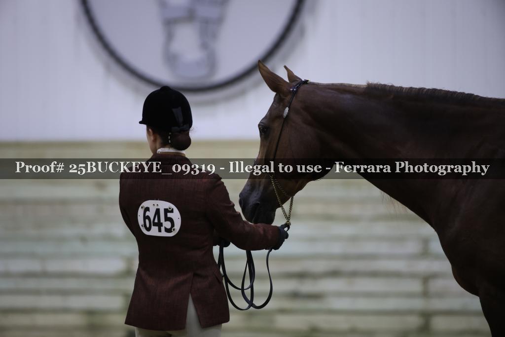 Proof 25BUCKEYE_09319