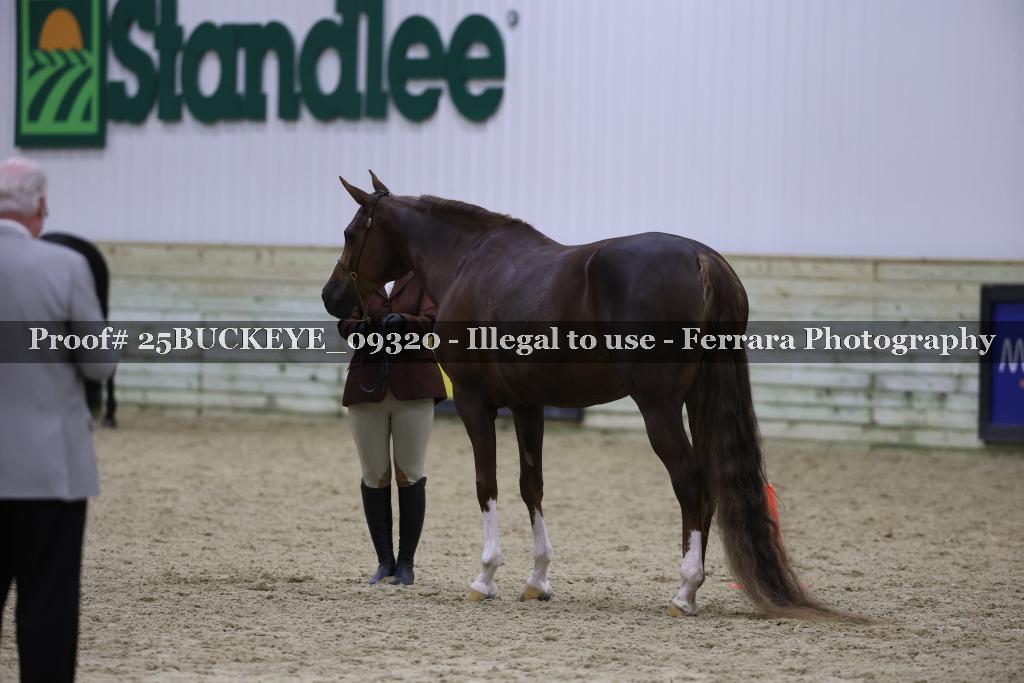 Proof 25BUCKEYE_09320