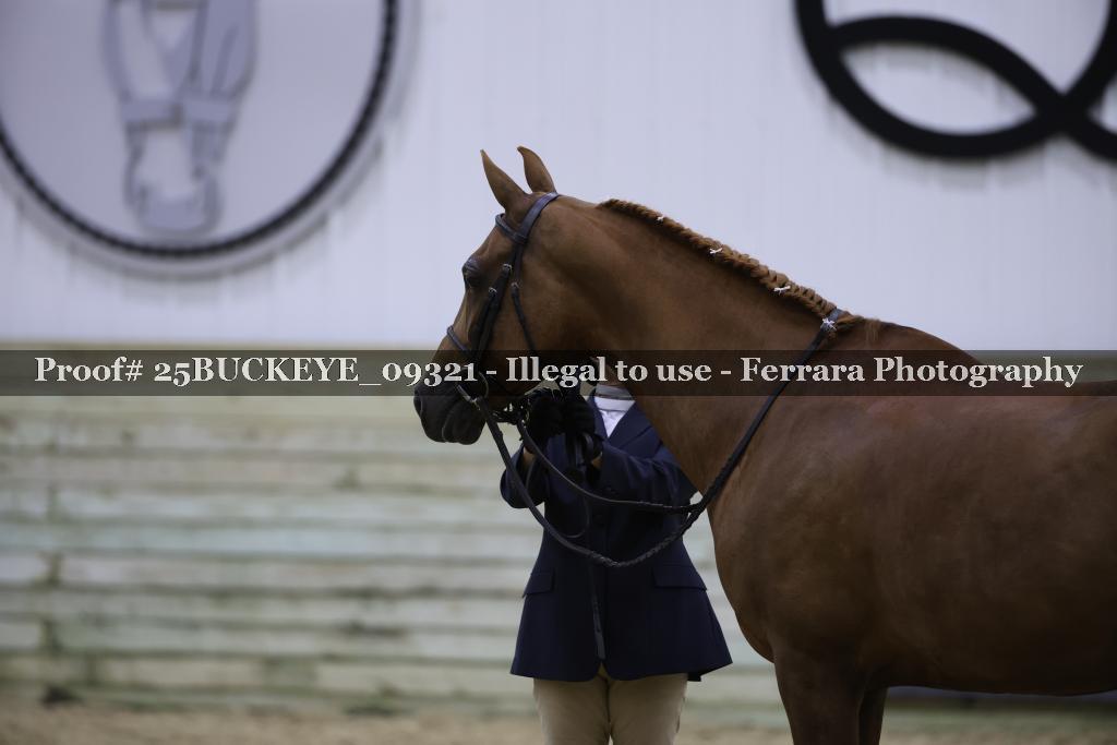 Proof 25BUCKEYE_09321