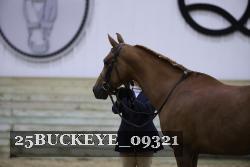 25BUCKEYE_09321 proof