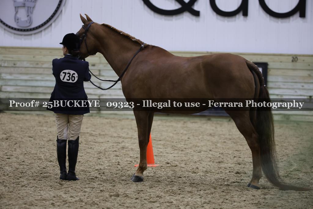 Proof 25BUCKEYE_09323