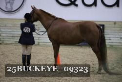 25BUCKEYE_09323 proof