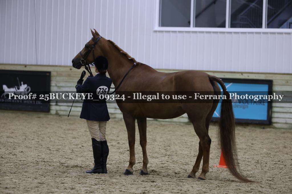 Proof 25BUCKEYE_09324