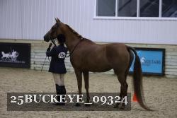 25BUCKEYE_09324 proof