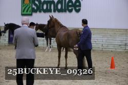 25BUCKEYE_09326 proof