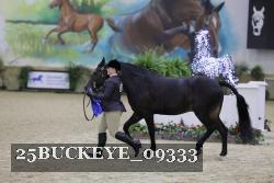 25BUCKEYE_09333 proof