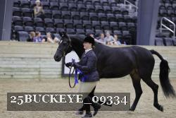 25BUCKEYE_09334 proof