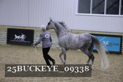 25BUCKEYE_09338 proof