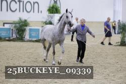 25BUCKEYE_09339 proof