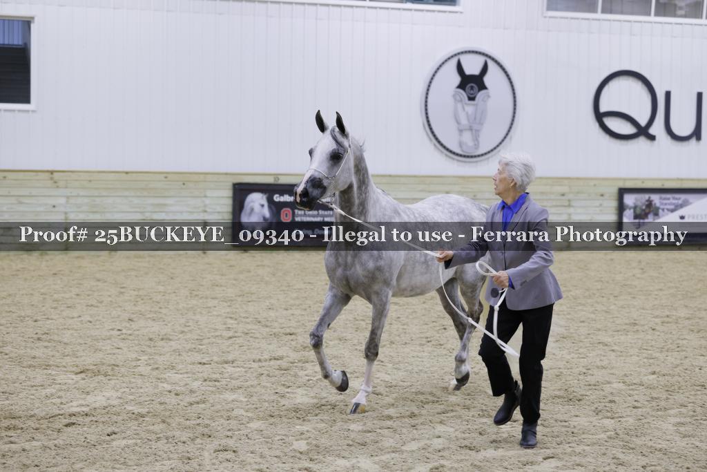 Proof 25BUCKEYE_09340