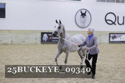 25BUCKEYE_09340 proof
