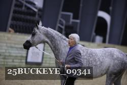 25BUCKEYE_09341 proof