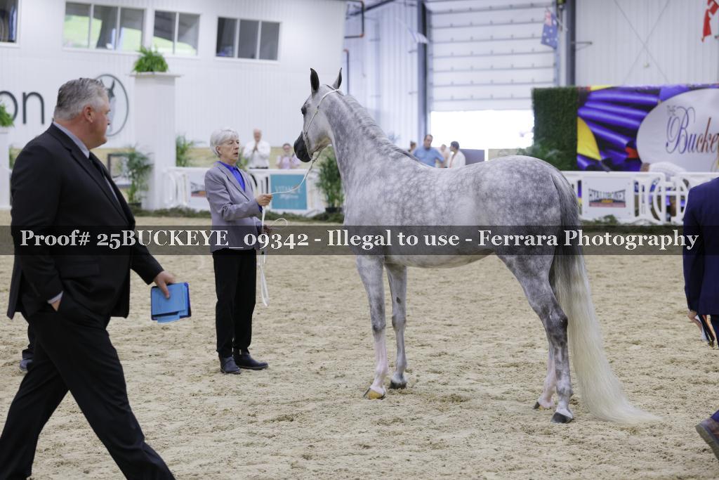 Proof 25BUCKEYE_09342
