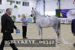 25BUCKEYE_09342 proof