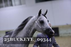 25BUCKEYE_09344 proof