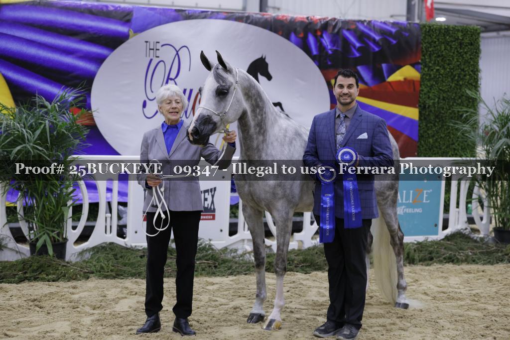 Proof 25BUCKEYE_09347