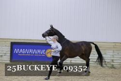 25BUCKEYE_09352 proof